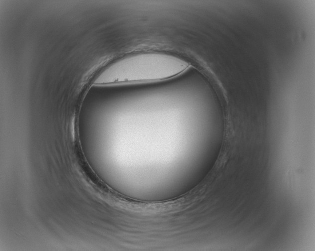 X0000078030019200610271054