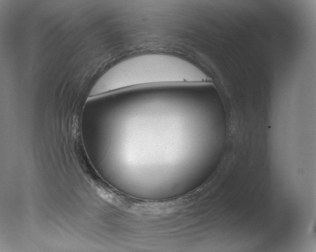X0000078030025200610271054