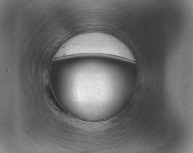 X0000078030031200610271054