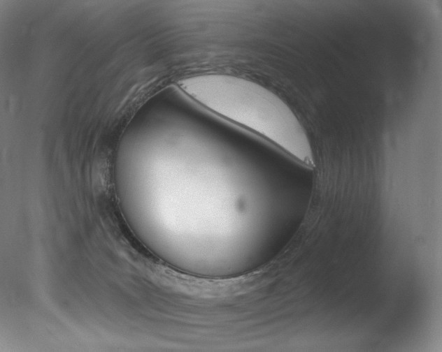 X0000078030035200610271054