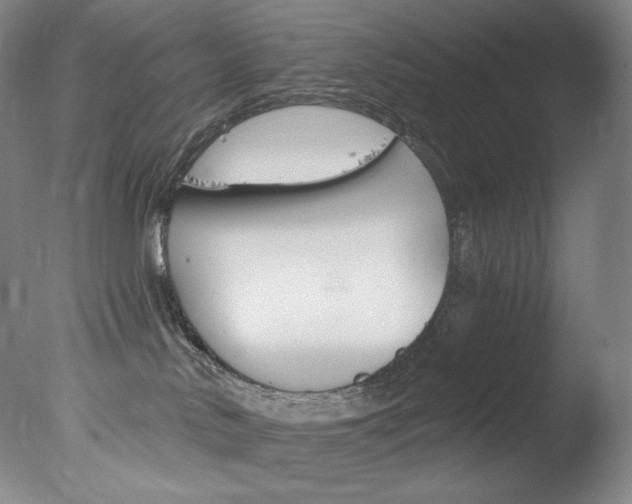 X0000078030042200610271053