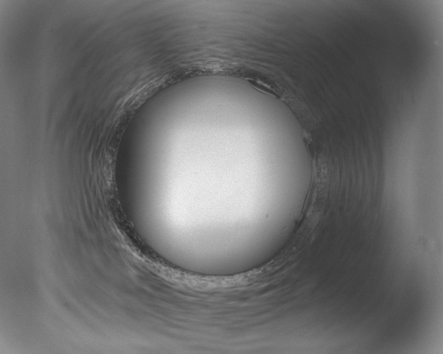 X0000078030043200610271053