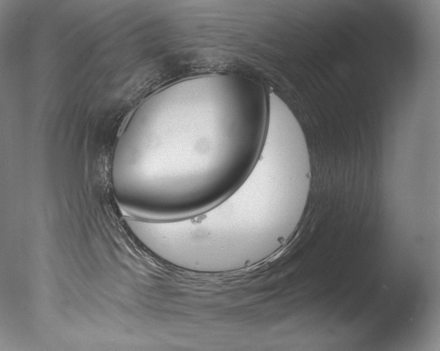X0000078030045200610271053