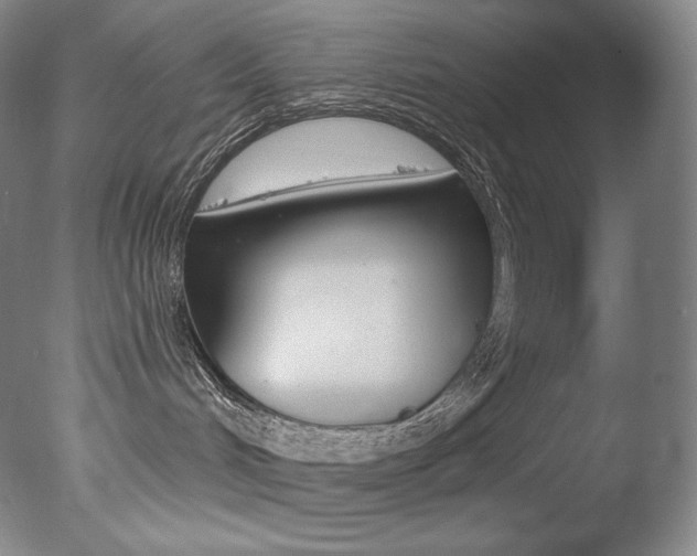 X0000078030048200610271053