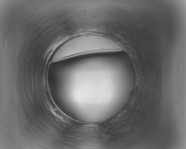 X0000078030050200610271053