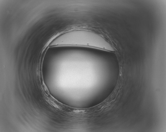 X0000078030052200610271053