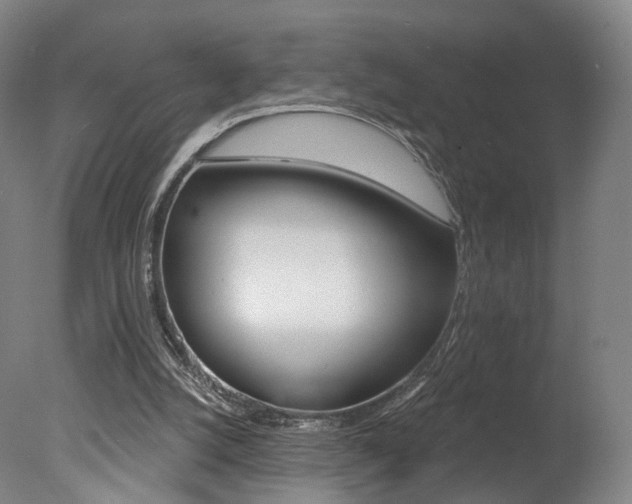 X0000078030056200610271053