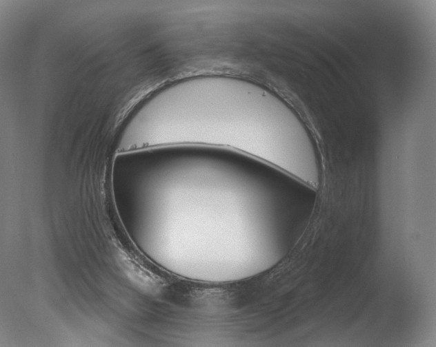 X0000078030058200610271053