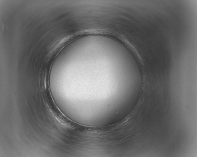 X0000078030062200610271053