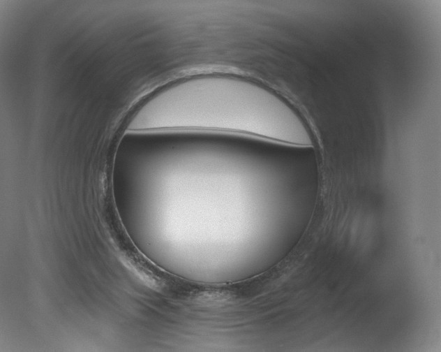 X0000078030063200610271053