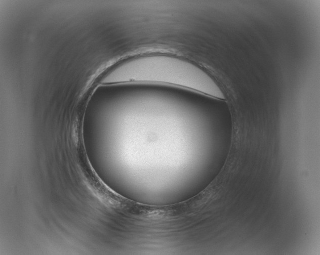 X0000078030064200610271053