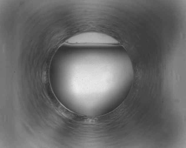 X0000078030080200610271053