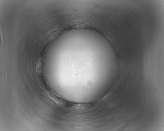 X0000078030082200610271053