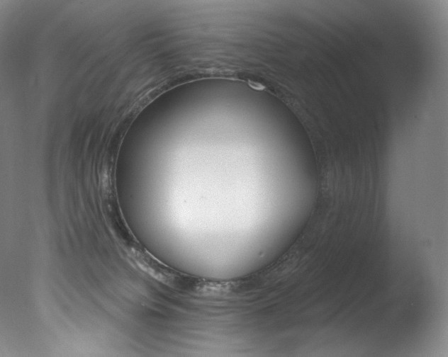X0000078030084200610271053