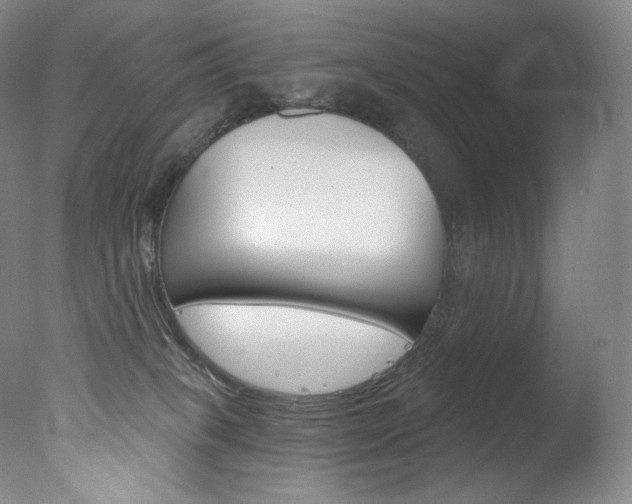 X0000078030085200610271053
