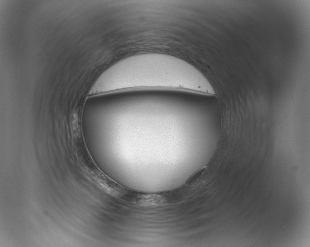 X0000078030087200610271053