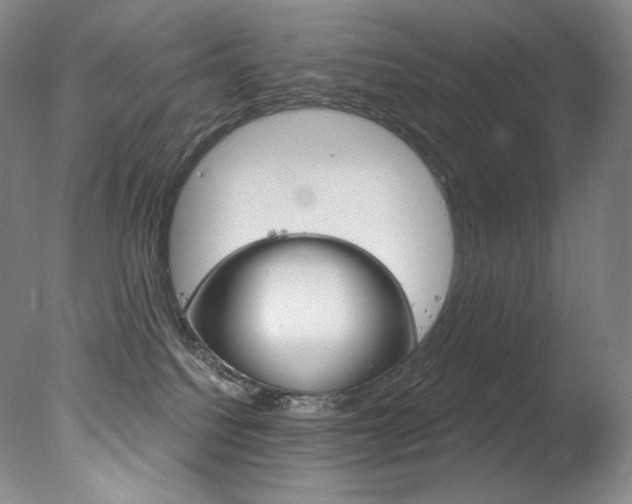 X0000078030088200610271053