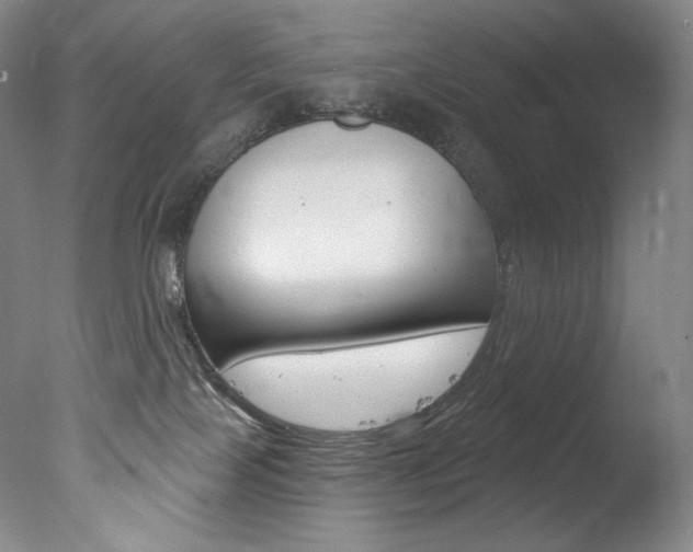 X0000078030089200610271053