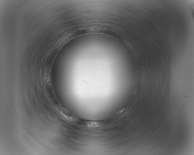 X0000078030091200610271053