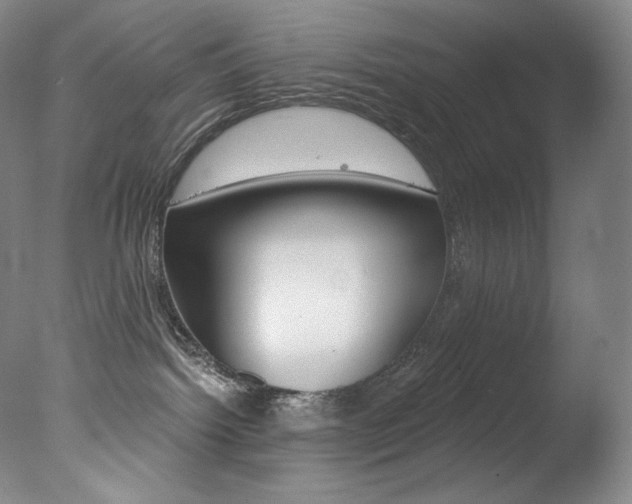 X0000078030092200610271053