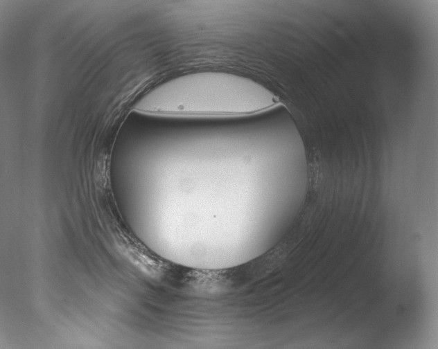 X0000078030093200610271053