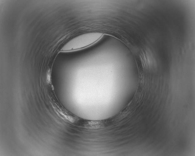 X0000078030095200610271053