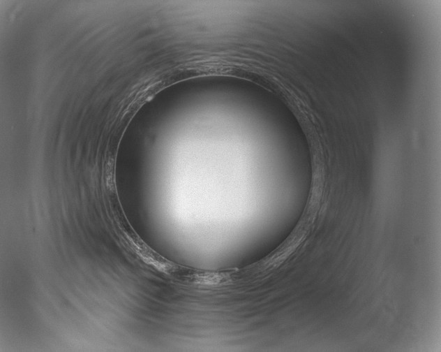 X0000078030096200610271053