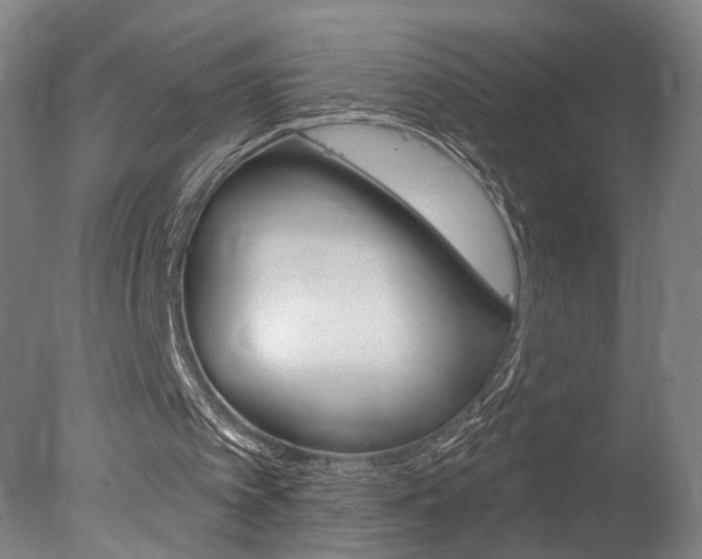 X0000078030097200610271052