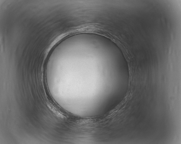 X0000078030100200610271052
