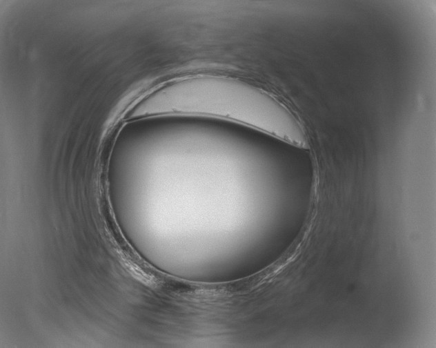 X0000078030101200610271052
