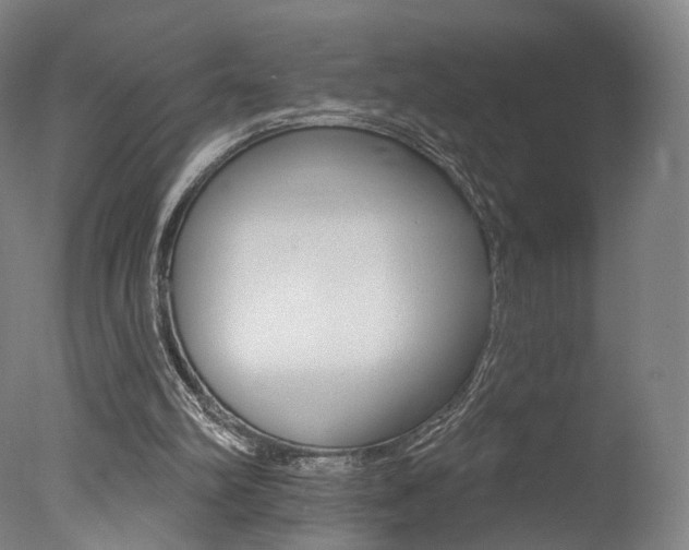 X0000078030102200610271052