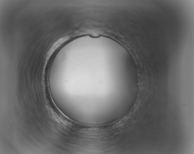 X0000078030104200610271052