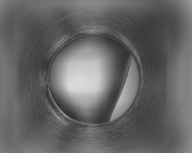 X0000078030105200610271052