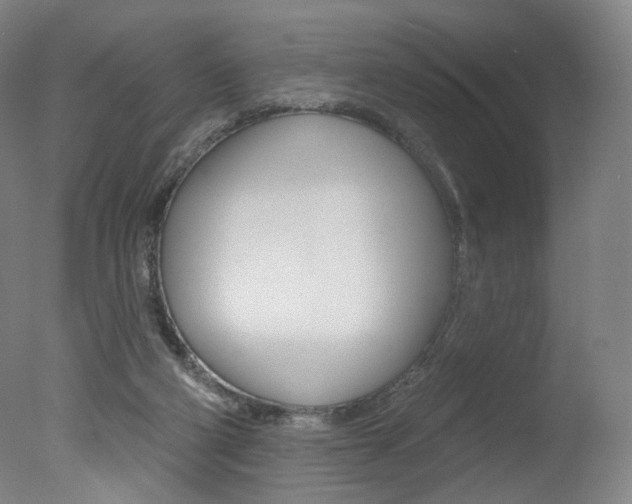 X0000078030114200610271052