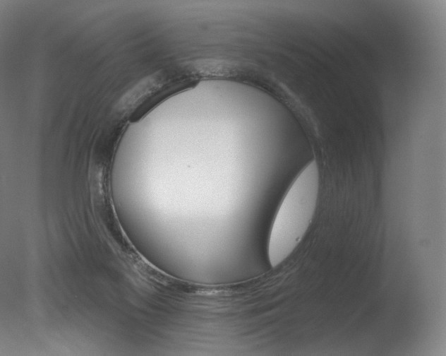 X0000078030117200610271052