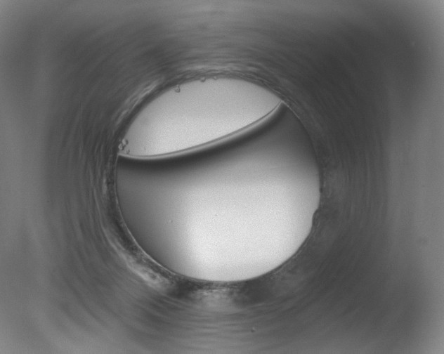 X0000078030120200610271052