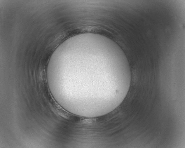 X0000078030126200610271052