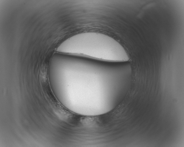 X0000078030129200610271052