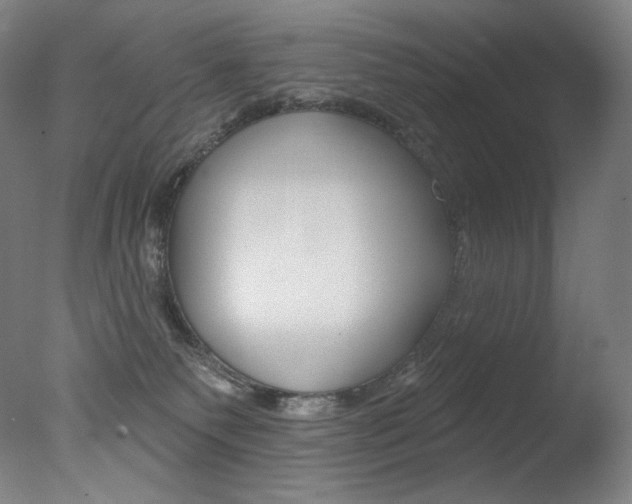 X0000078030135200610271052