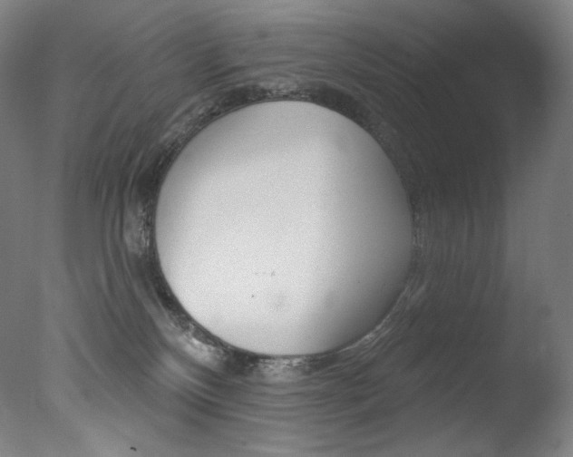 X0000078030136200610271052