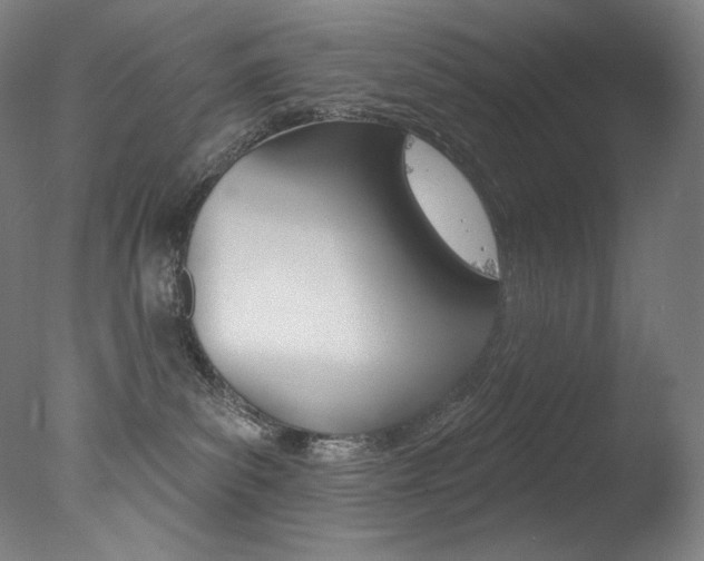 X0000078030139200610271052