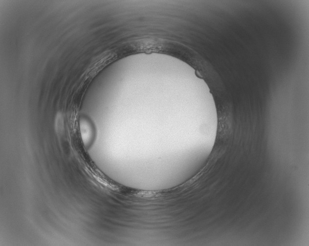 X0000078030142200610271052