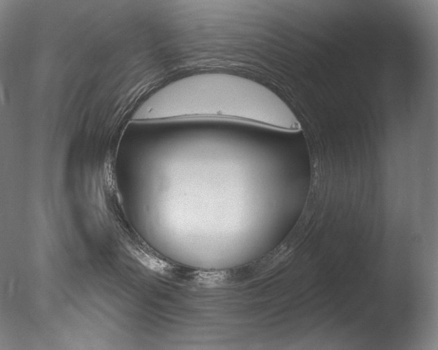 X0000078030143200610271052