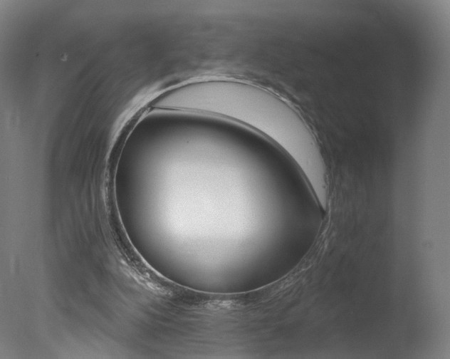 X0000078030152200610271051