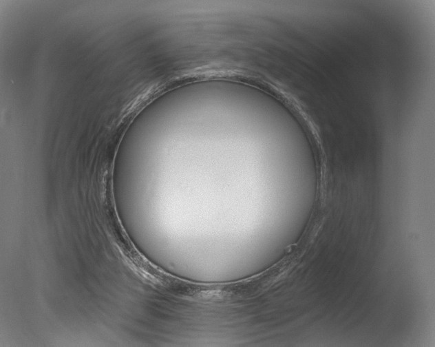 X0000078030153200610271051