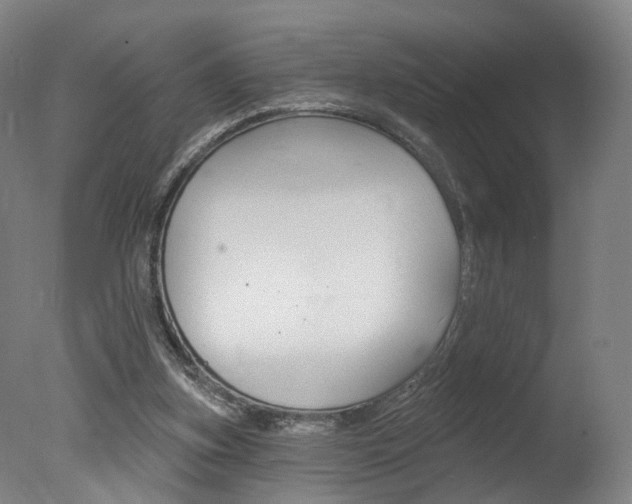 X0000078030155200610271051