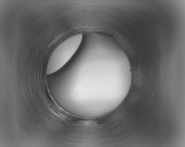 X0000078030165200610271051