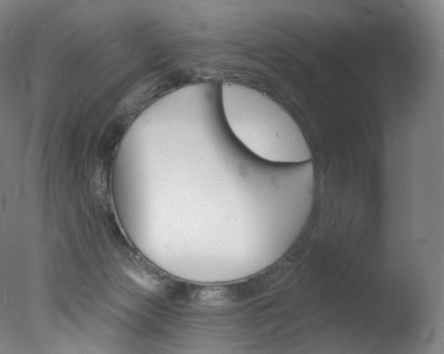 X0000078030173200610271051