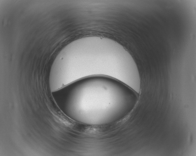 X0000078030174200610271051