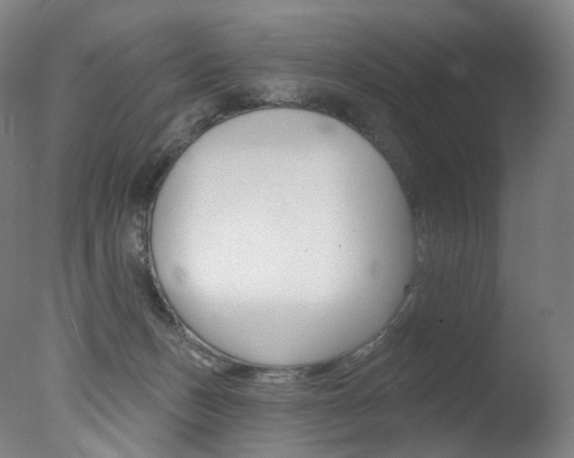 X0000078030175200610271051